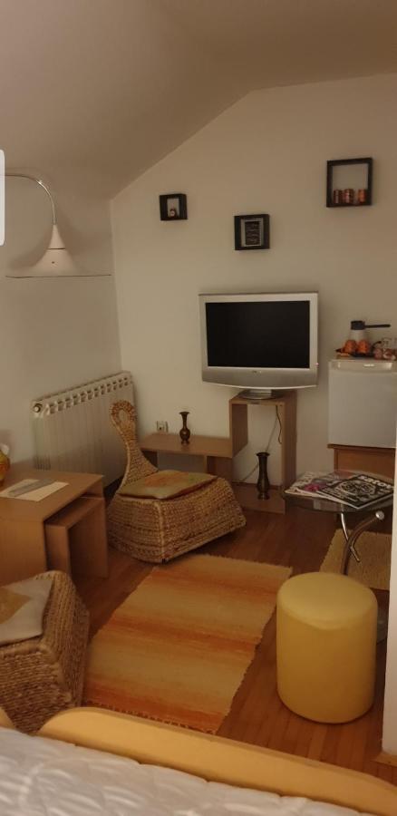 Apartments Bikica Vrnjačka Banja Dış mekan fotoğraf